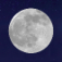 Moon Today
